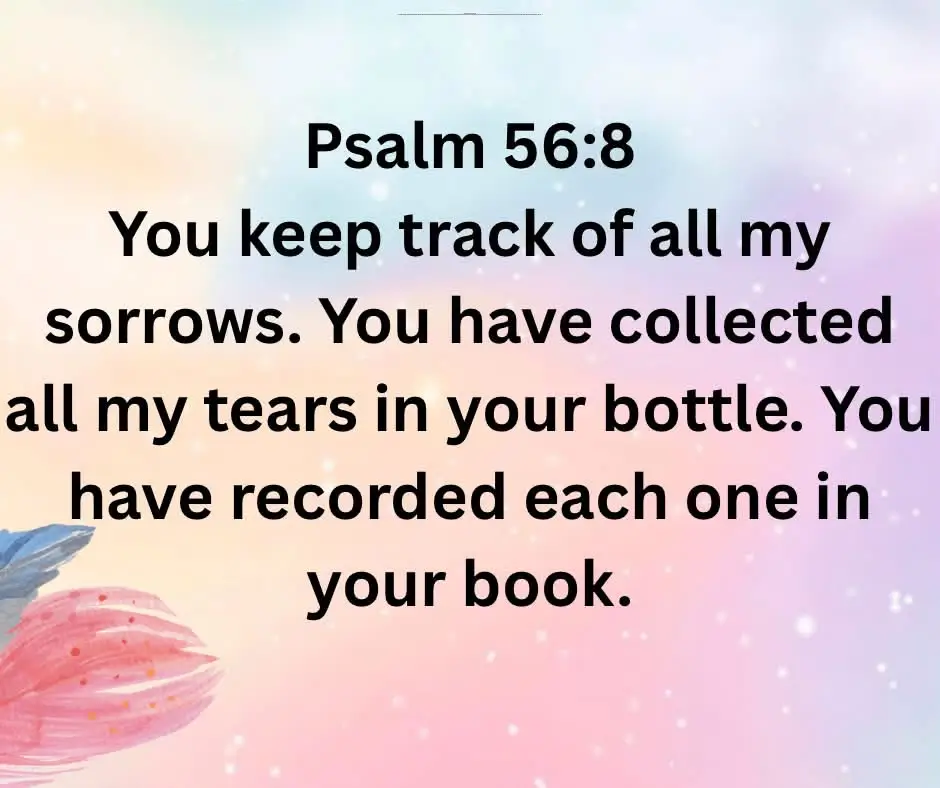 You keep track of all my sorrows. You have collected all my tears in your bottle. You have recorded each one in your book.