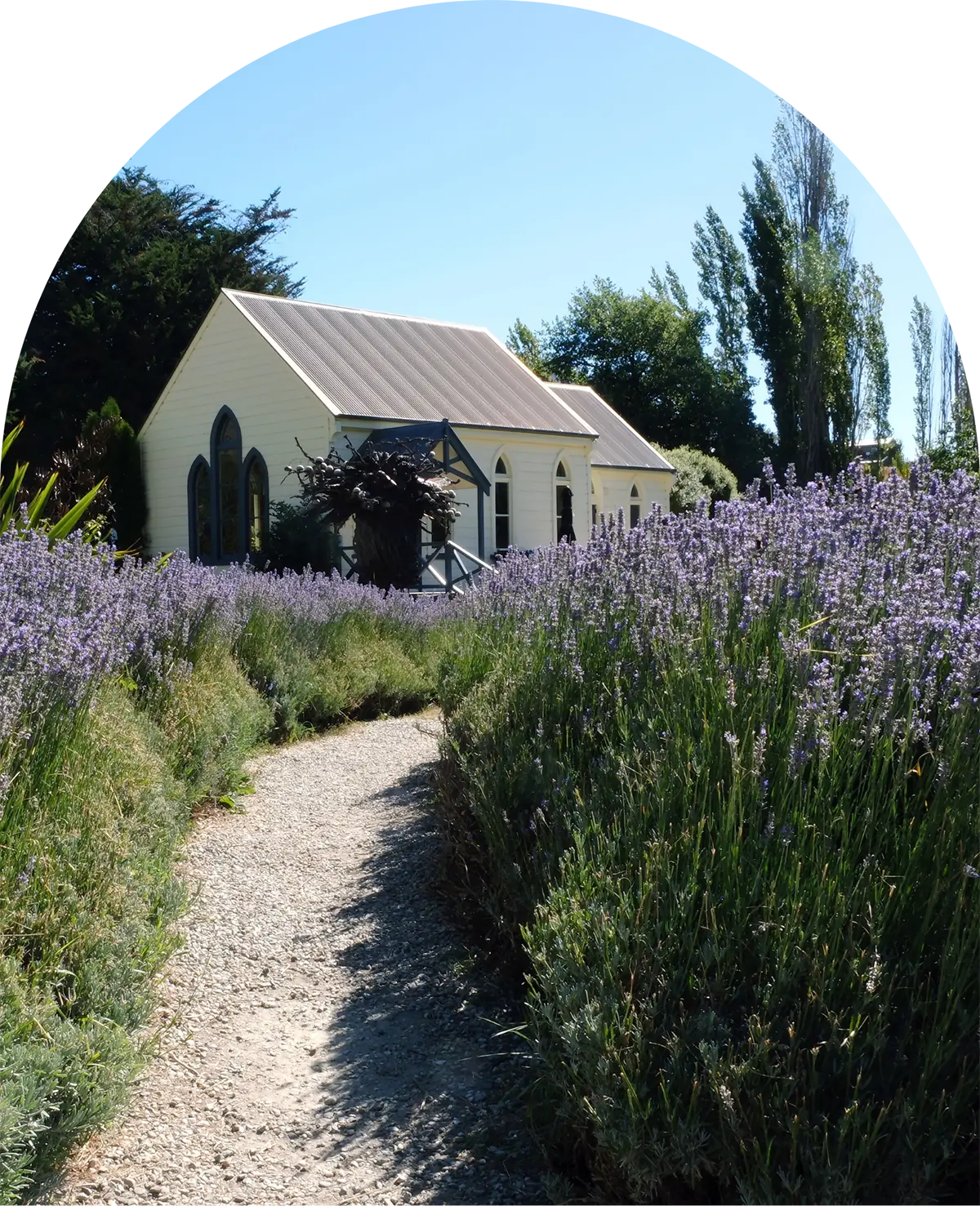House and lavender field arch frame